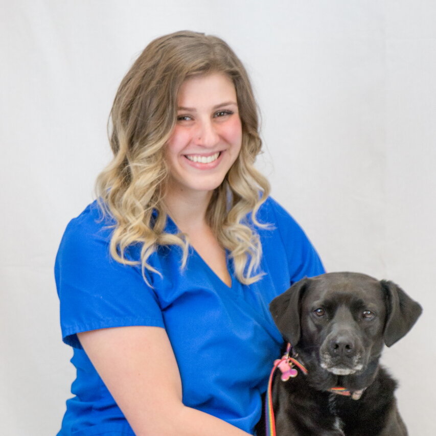 Emily Veterinary Technician